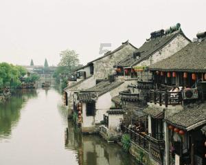 云南：悠闲漫步栖息地，小象“挑战”过小溪