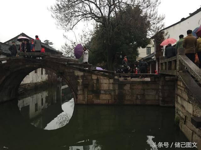 动物帮帮忙保卫家园